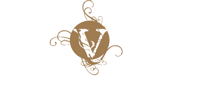 Varidance Logo